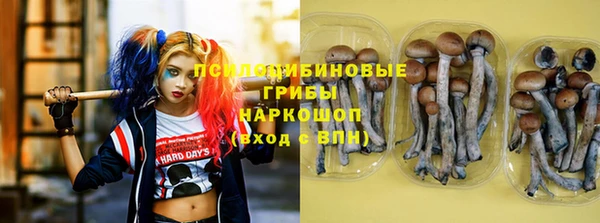 стаф Гусиноозёрск